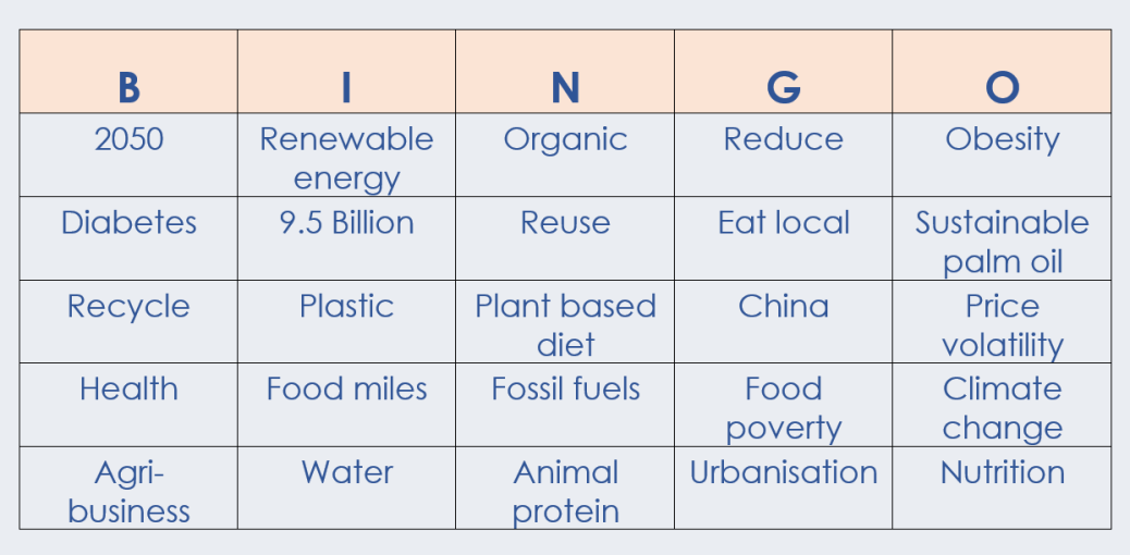 Sustainability BINGO